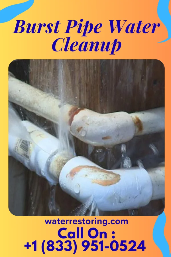 Burst Pipe Water Cleanup in Fayetteville, WV