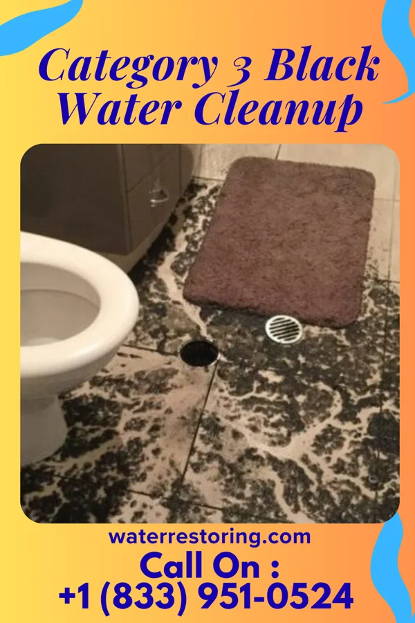 Category 3 Black Water Cleanup in Fayetteville, WV