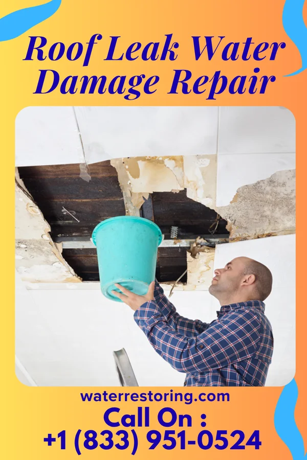 Roof Leak Water Damage Repair in Fayetteville, WV