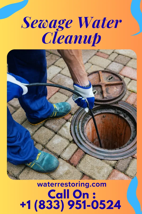 Sewage Water Cleanup in Fayetteville, WV