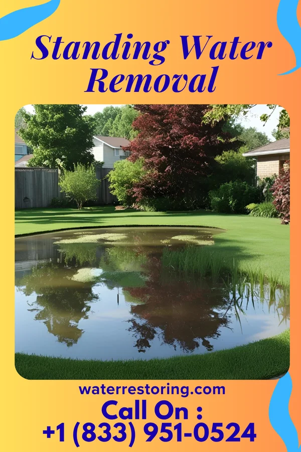 Standing Water Removal in Fayetteville, WV